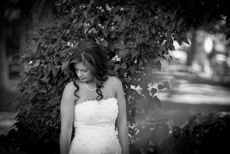 Bride looking down beneath a flowering vine, black and white