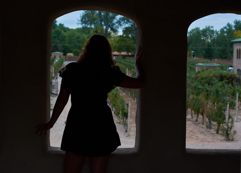 Silhouette at an arched window overlooking a vineyard