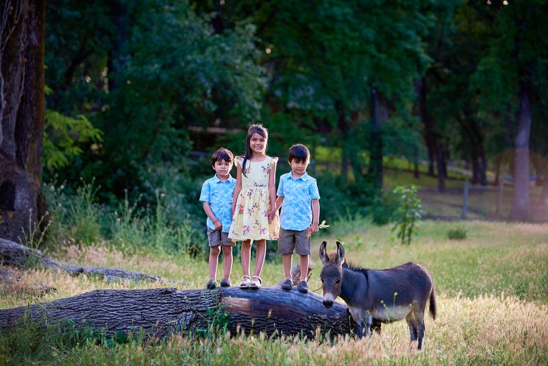 Three children standing on a fallen log beside a grazing donkey